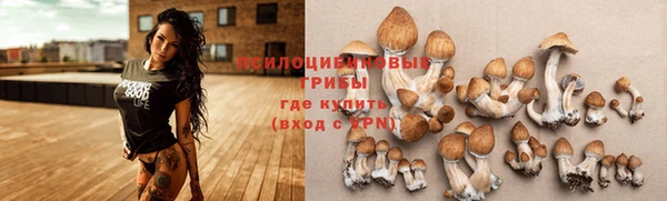 дмт Остров