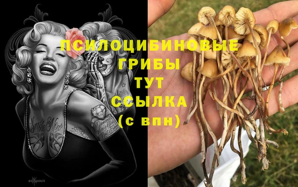 соль ск Няндома