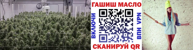 Купить закладки  Городище  Дистиллят ТГК жижа 
