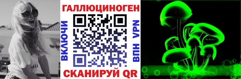 Купить  Городище  Псилоцибиновые грибы мицелий 